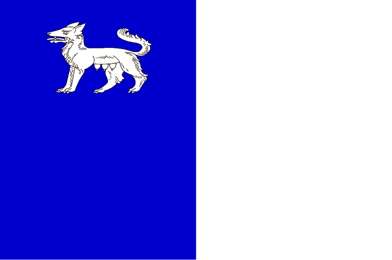 Flag of La Louvière, Belgium